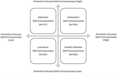 Development and validation of the self-consciousness type scale